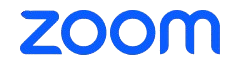 zoom logo